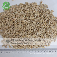 Heat Treated Confectionary Sunflower Kernels